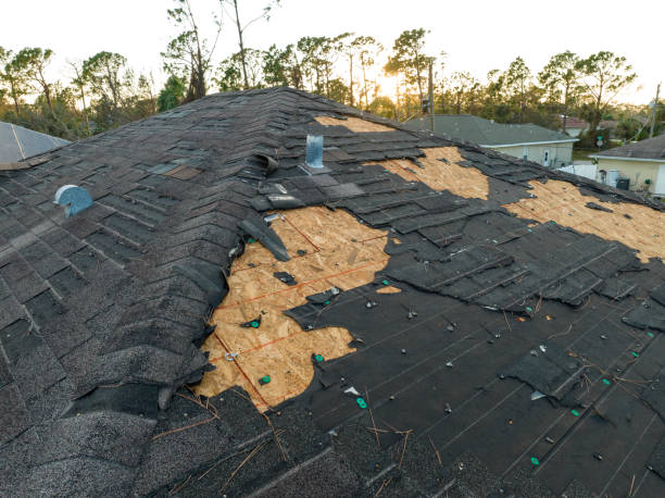Best Steel Roofing  in Huber Ridge, OH